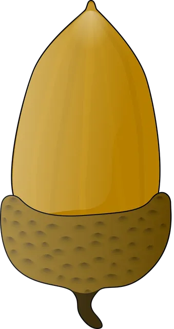 Nespresso Reusable Capsule Pod
